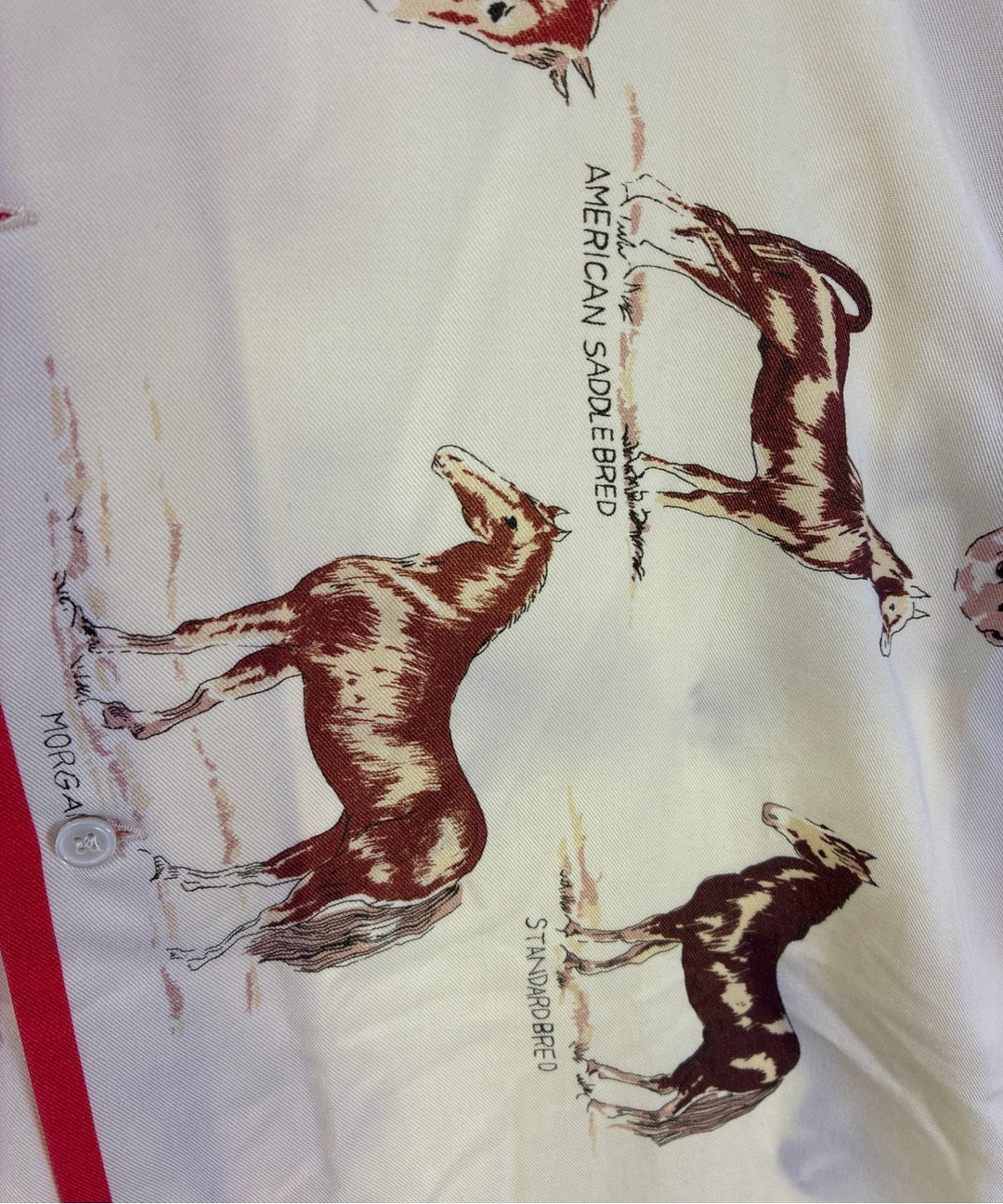 BODE เสื้อเชิ้ต