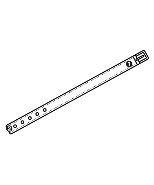 Tex Teg เข็มขัด