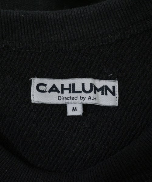 CAHLUMN เสื้อสเวตเตอร์