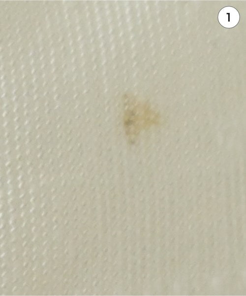 Tnewties เสื้อลำลอง