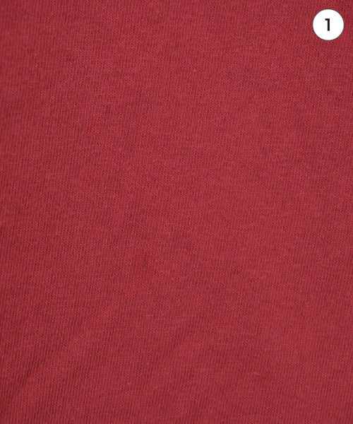 THE NORTH FACE PURPLE LABEL เสื้อยืด/เสื้อท็อปส์